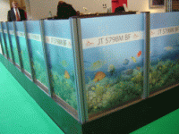 dsc01002 250 pix.gif