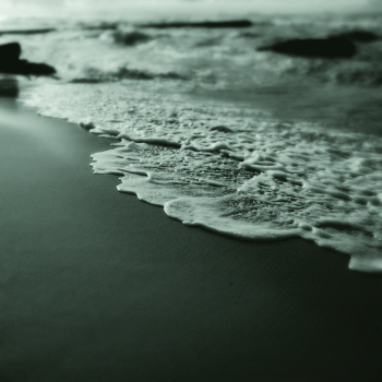 An image from Leaving and Belonging