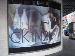 dsc00667-1 250.gif