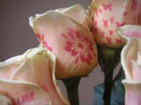 7216_hrpic1 gif.gif