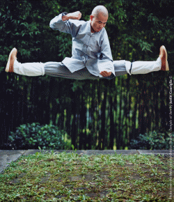 justin guariglia_jumping monk 250.gif