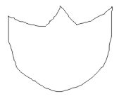 curves_16_tulip.jpg