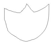 curves_18_right_side_result.jpg