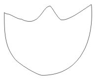 curves_20_tulip_smooth.jpg