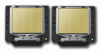 picture3.gif