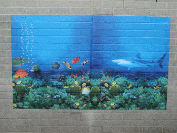wallwrap100outdoor.gif