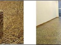 FLOOR.jpg
