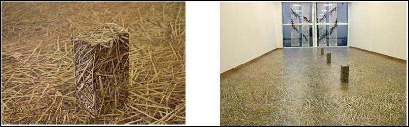 FLOOR.jpg