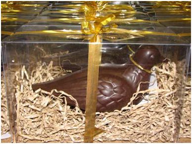chocolate_pidgeon.jpg