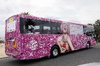 pinkbus.jpg