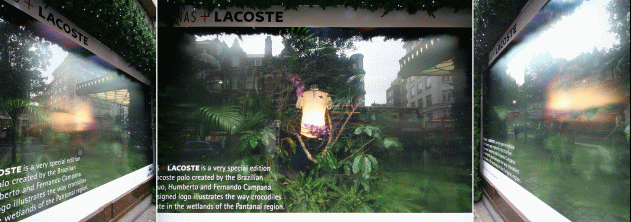 madico_lacoste.gif