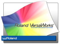 roland_pic_1.jpg