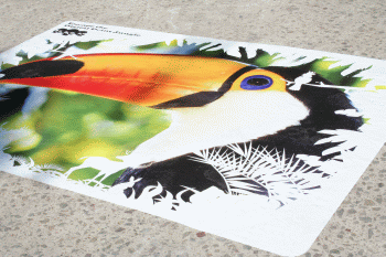 VFX_Street_Graphics_010