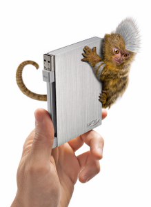 rikiki-go_full-silver_us-asia_219x300