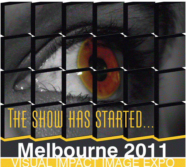 VIIE_show_logo