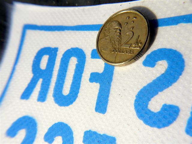 Easy Dot with coin