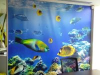 Fish 1