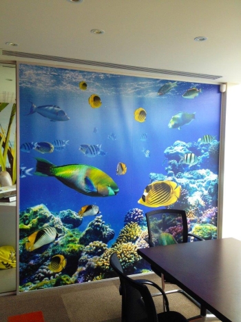 Fish 1