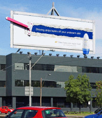Dove 1