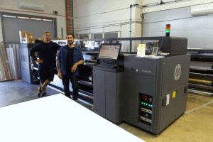 HP 3100