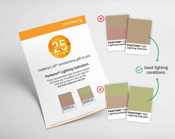 Pantone lighting indicators