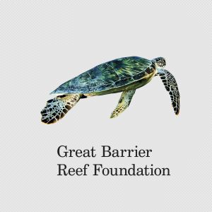 GBRF Turtle V RGB 002
