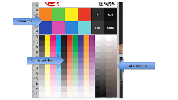 SAi Flexi Colour Management What to look for in sample file