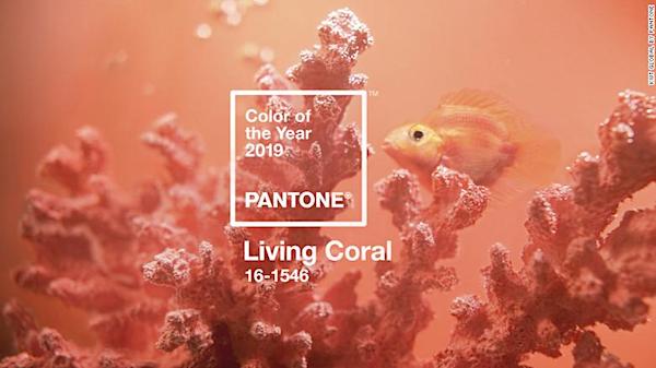 181205170540 pantone color of year 01 exlarge 169