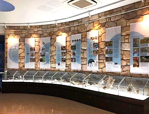 Graphic fit out for Warrumbungle Visitors Centre by signwavenewtown