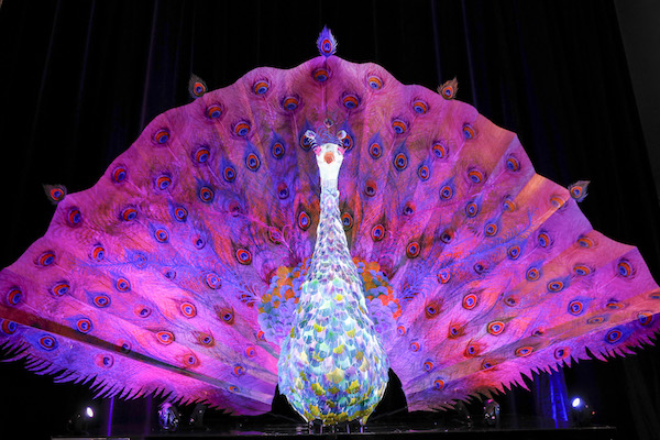 VividSydney 20190319 ProgramLaunch CREDITDestinationNSW DK 69