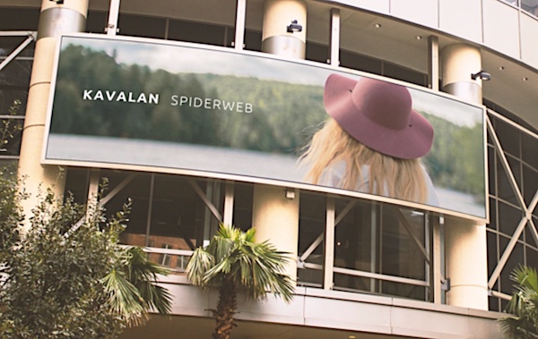 kavalan spiderweb