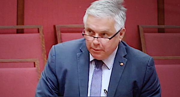 rex patrick senate