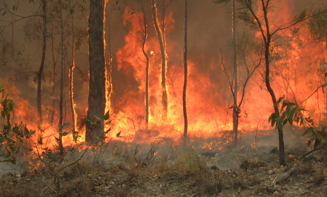 CreativeCommons Bush fire at Captain Creek