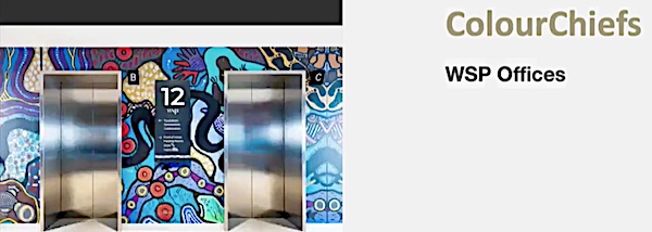 colourchiefs 2020