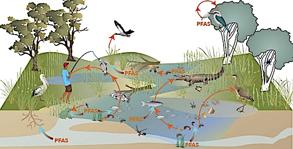 from PFAS National Environmental Management Plan January 2020
