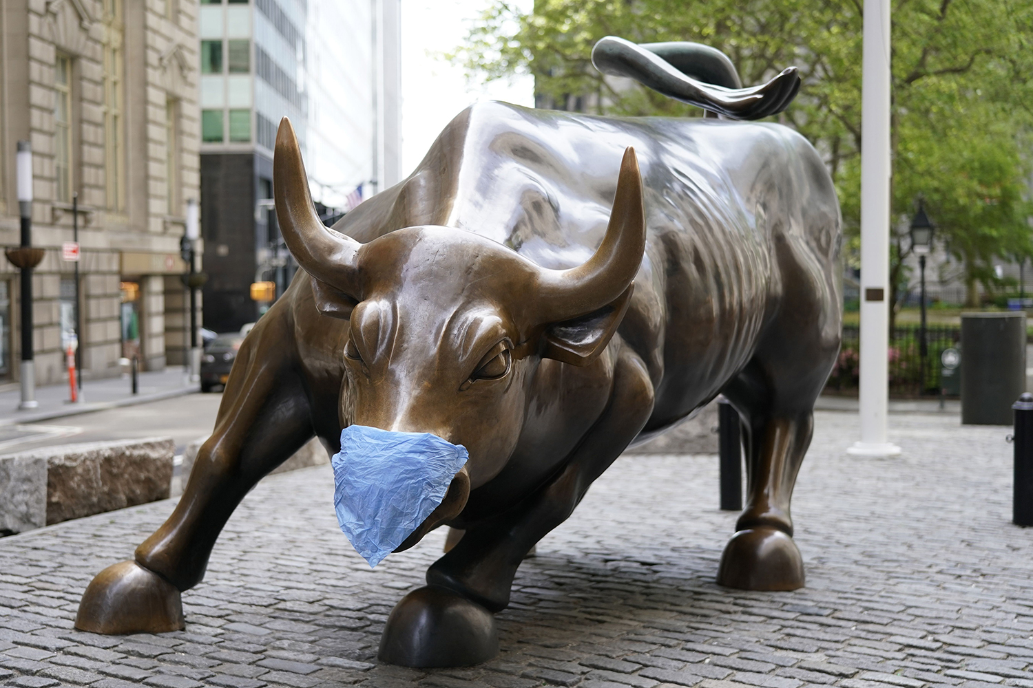Bull stockmarket