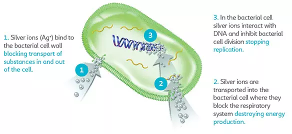 Antimicrobial silver