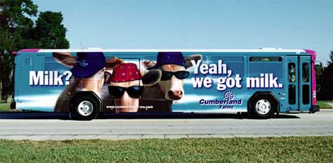 contravision bus