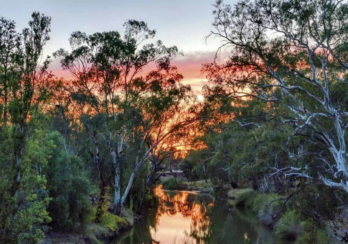 Condo Sun rising over the Lachlan River in Condobolin 0