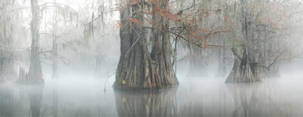 ancient backwaters