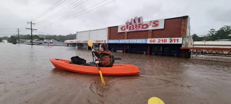 Gibbos in flood