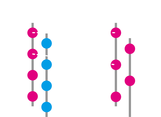 Mutoh Accufine