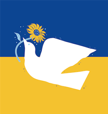 pdp cross sell tile dove