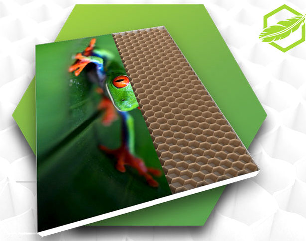 Envirocore honeycomb printboard