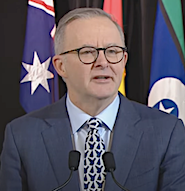 anthony albanese jobs summit