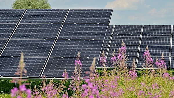 Sustainability_PR-BLOG_Image_4-980x550.jpg copy.jpg