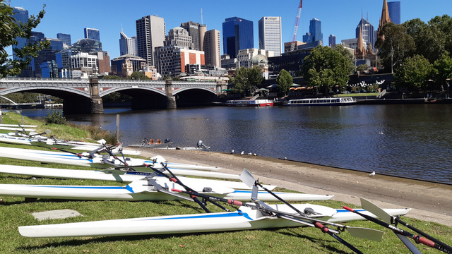 Fespa BBQ 2023 Yarra