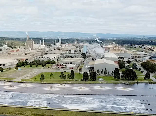 opal mill maryvale.png