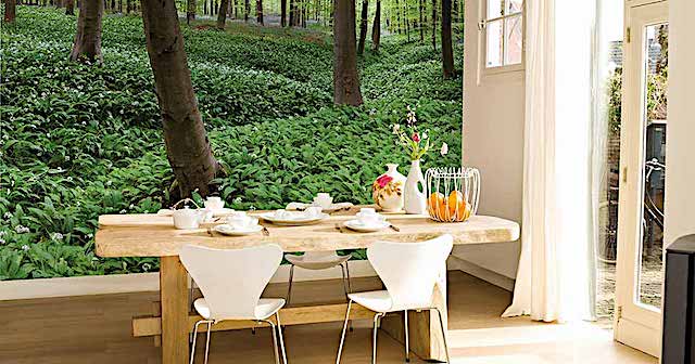 coala-walldesign-antalis.jpg