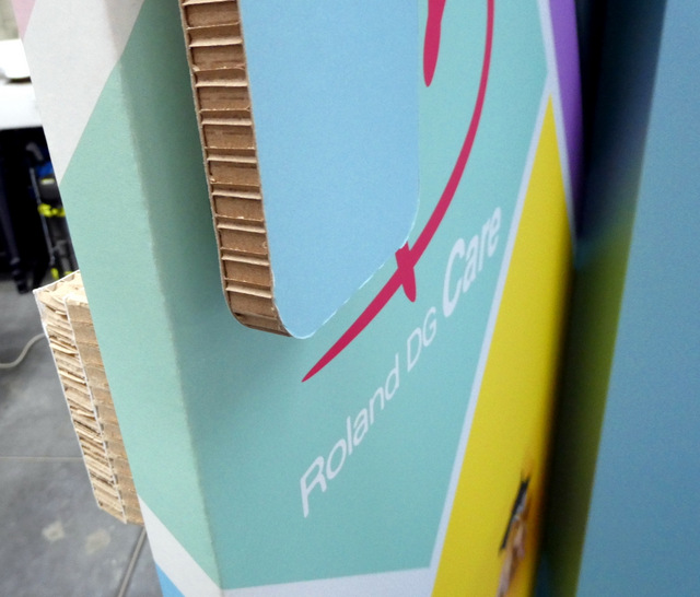 Rolan Melb Reboard door